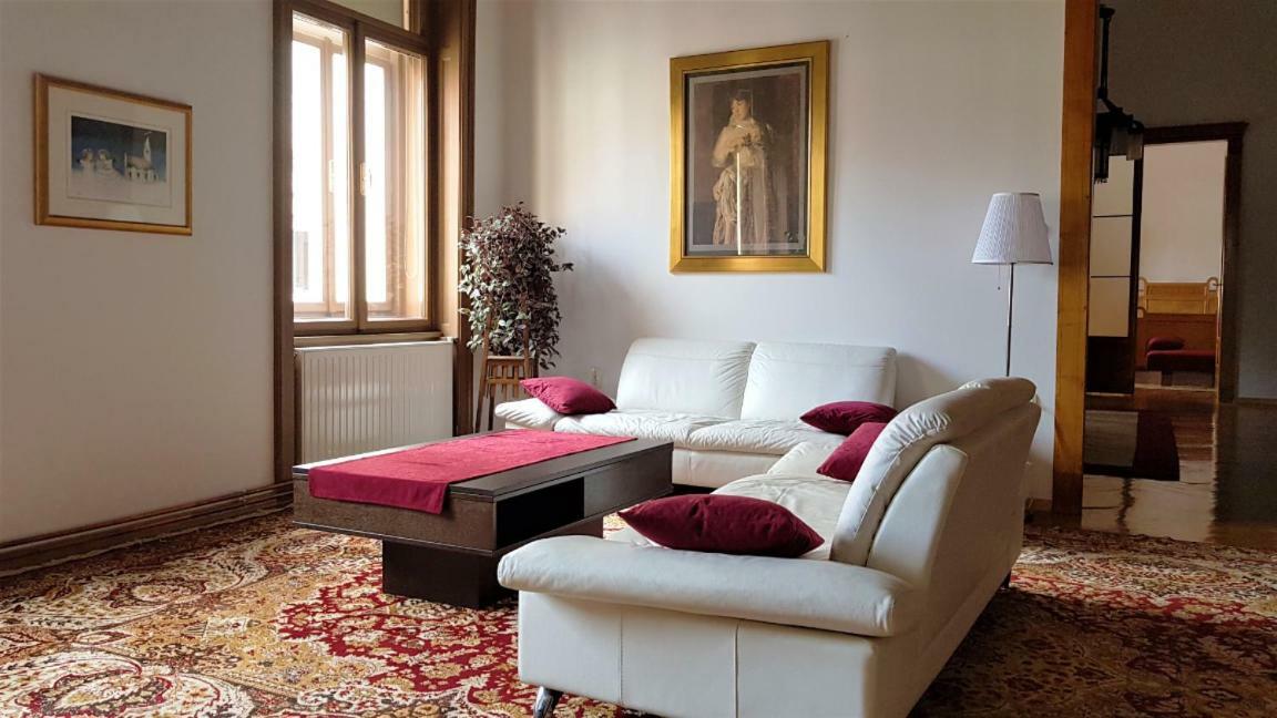 Luxury Apartment In The Heart Of 바라즈딘 외부 사진